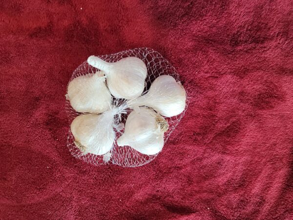 Organic White German Garlic Half Pound Package